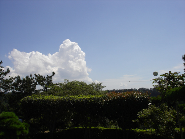 091028_bonglimsa194647.jpg