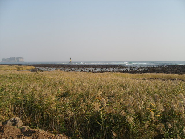 091102_bonglimsa151525.jpg
