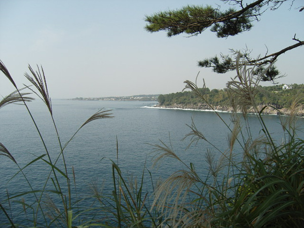 091102_bonglimsa151824.jpg