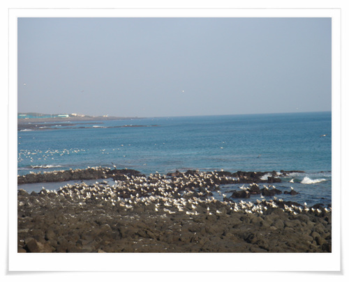 100128_bonglimsa210907.jpg
