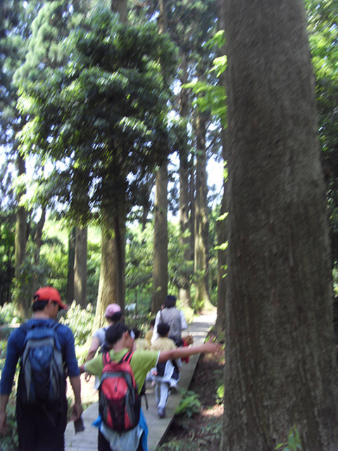 100815_bonglimsa200010.jpg