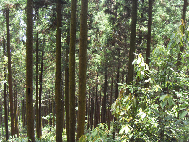 100815_bonglimsa200246.jpg