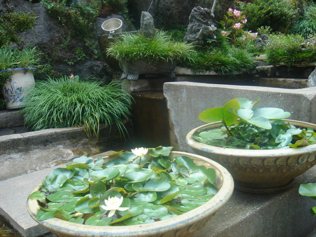 110318_bonglimsa214848.jpg