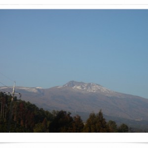 100128_bonglimsa212501.jpg