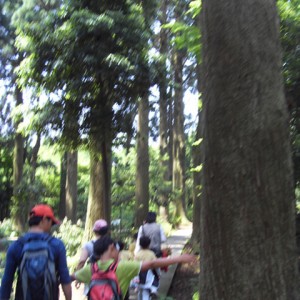 100815_bonglimsa200010.jpg